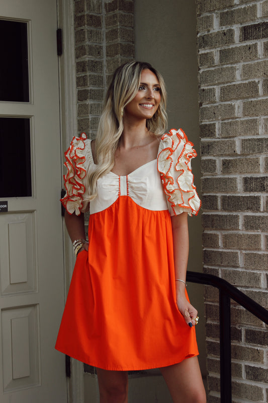 Annie Detailed Sleeve Mini Dress