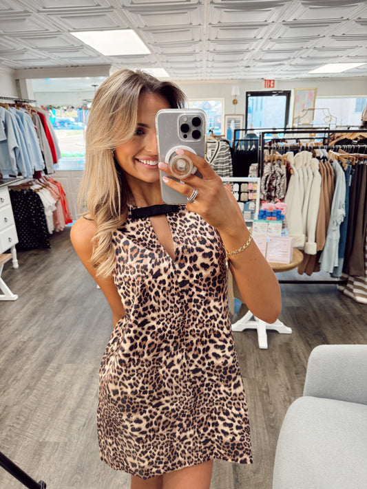 Leopard Print A Line Mini Dress